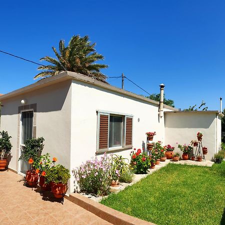 Repanidi Apartment D / Ρεπανίδι Διαμέρισμα Δ Repanidhion 外观 照片