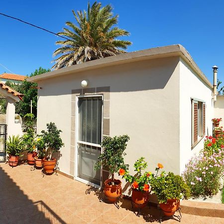 Repanidi Apartment D / Ρεπανίδι Διαμέρισμα Δ Repanidhion 外观 照片