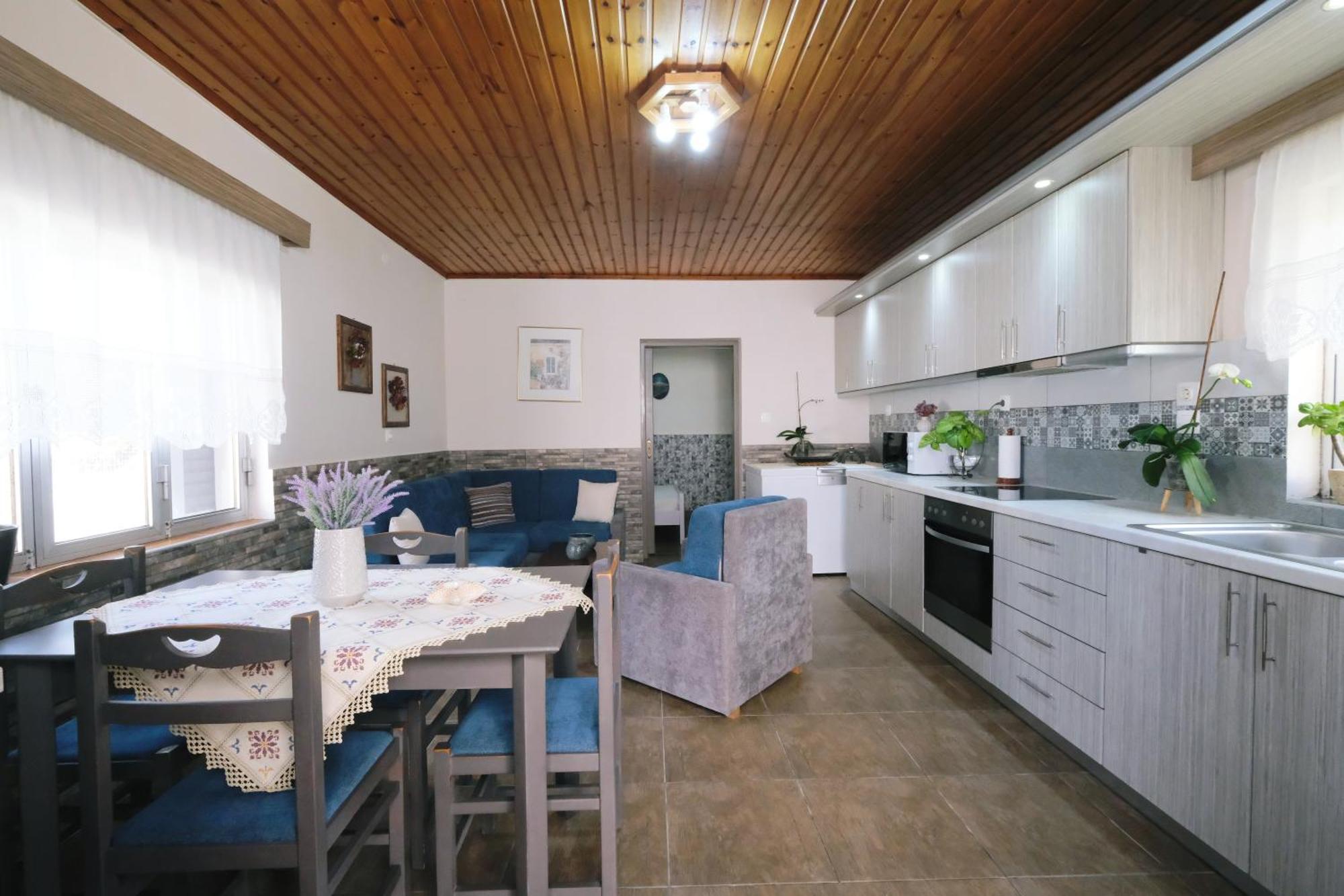Repanidi Apartment D / Ρεπανίδι Διαμέρισμα Δ Repanidhion 外观 照片