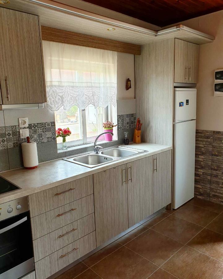 Repanidi Apartment D / Ρεπανίδι Διαμέρισμα Δ Repanidhion 外观 照片