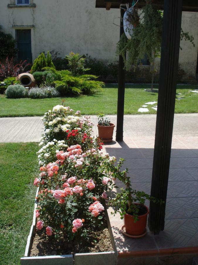 Repanidi Apartment D / Ρεπανίδι Διαμέρισμα Δ Repanidhion 外观 照片