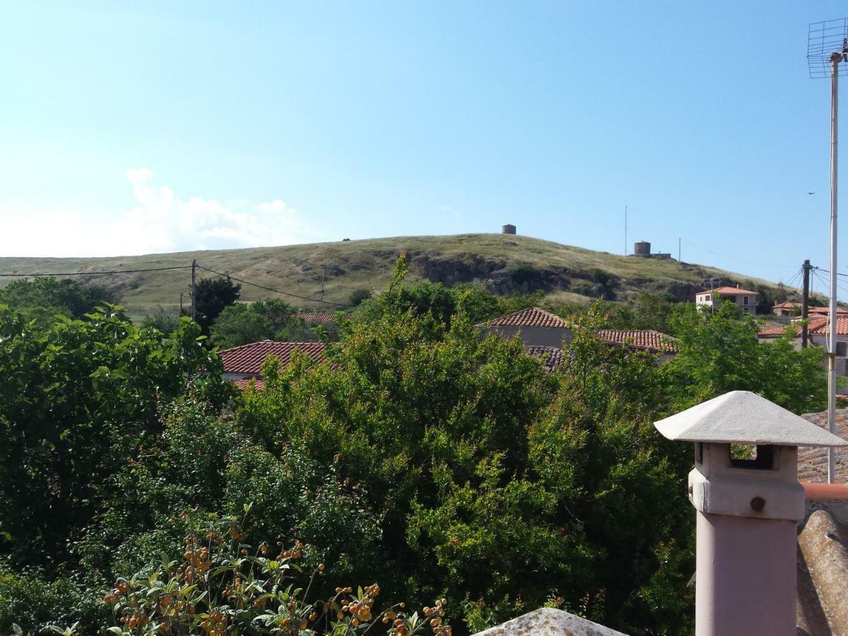 Repanidi Apartment D / Ρεπανίδι Διαμέρισμα Δ Repanidhion 外观 照片